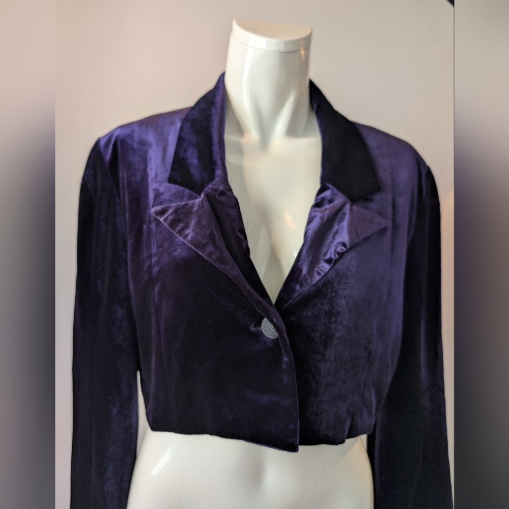 Elegant Rich Royal Purple Velvet Kardashian Women's Jacket Blazer Size Large